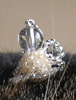 DSCN5878.jpg
