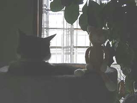DSCN5901.jpg