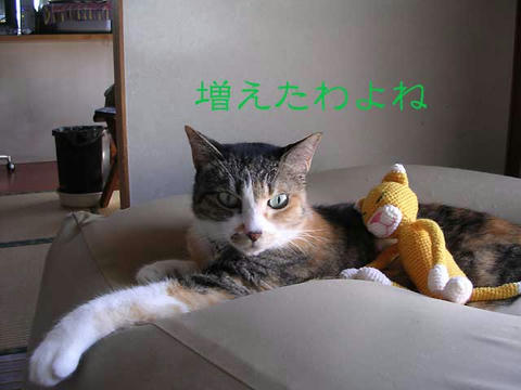 DSCN5909.jpg