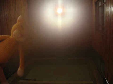DSCN5963.jpg