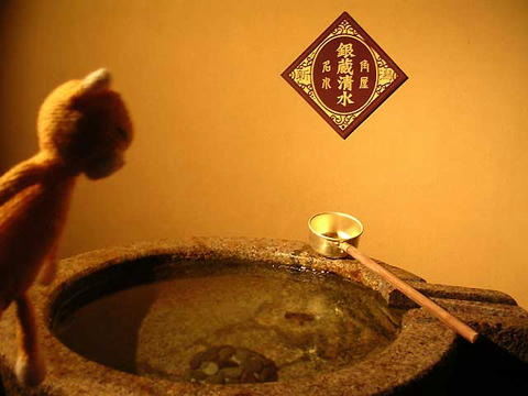 DSCN5966.jpg