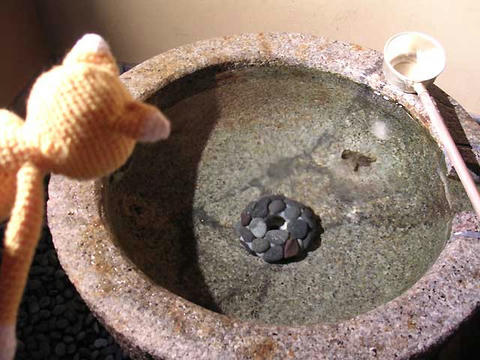 DSCN5967.jpg
