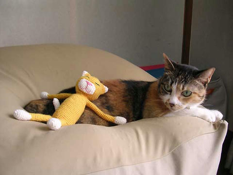 DSCN5989.jpg