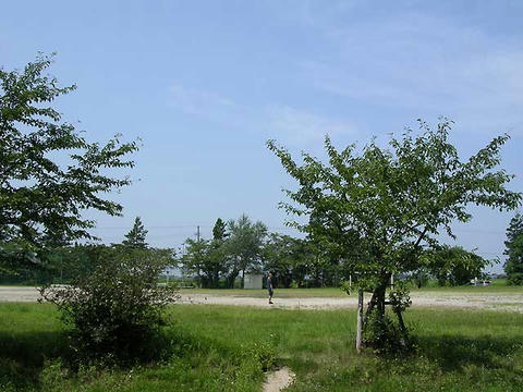 DSCN5984.jpg