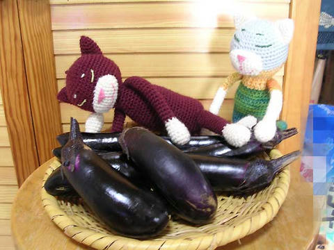 DSCN6128.jpg