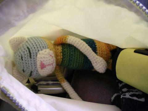 DSCN6131.jpg