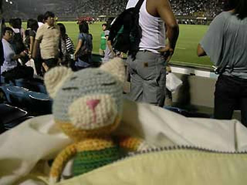 DSCN6142.jpg