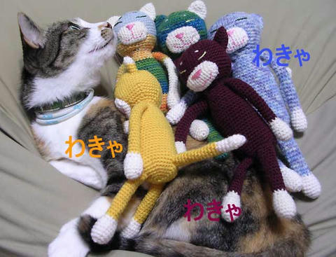 DSCN6227.jpg