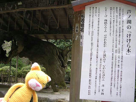 DSCN6327.jpg