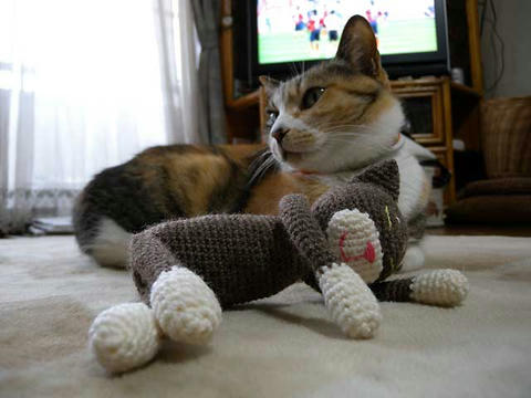 DSCN0534.jpg