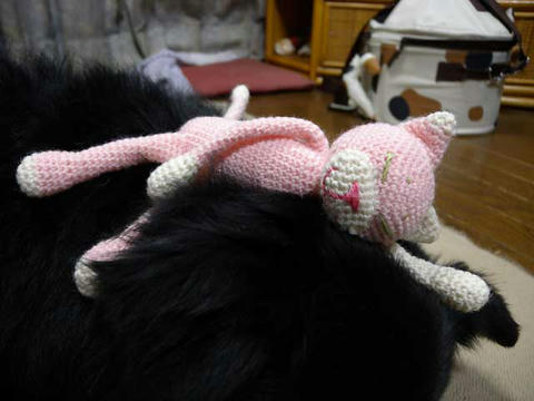 DSCN0554.jpg