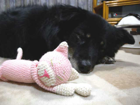 DSCN0555.jpg