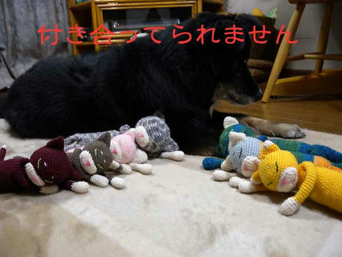 DSCN0558.jpg