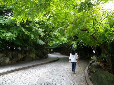 DSCN1429.jpg