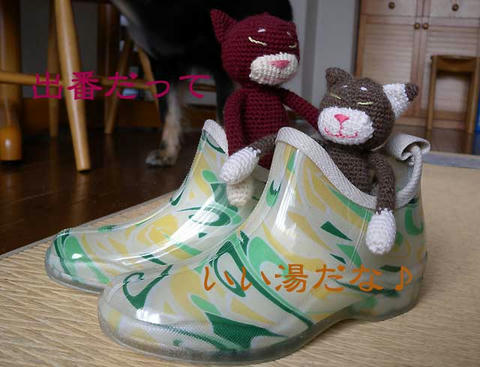 DSCN1456.jpg