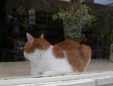 DSCN1688.jpg