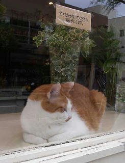 DSCN1689.jpg