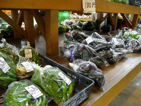 DSCN1705.jpg
