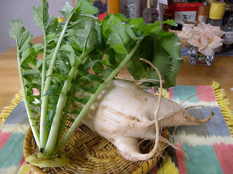 DSCN5813.jpg