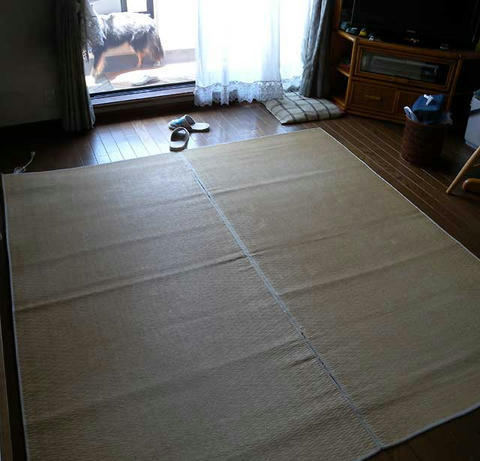 DSCN5831.jpg