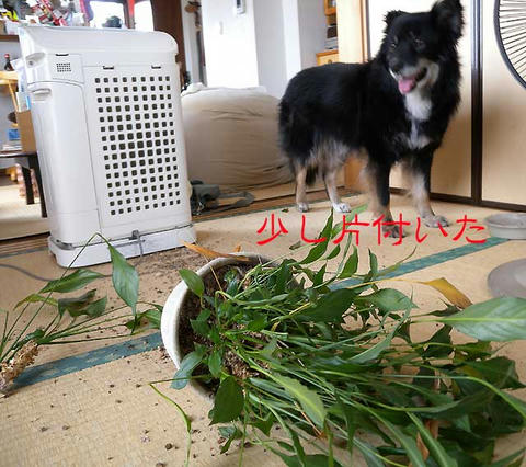 DSCN5862.jpg
