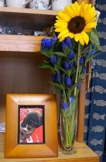 DSCN5863.jpg