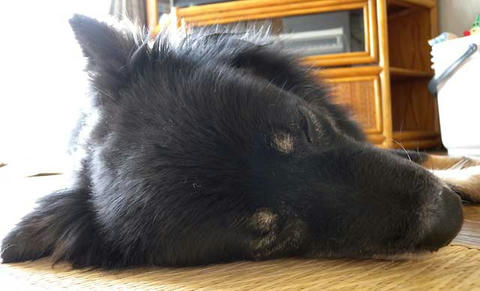 DSCN5874.jpg