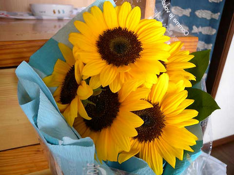 DSCN5879.jpg