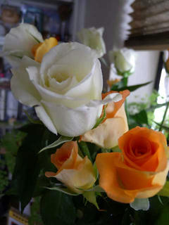 DSCN5867.jpg