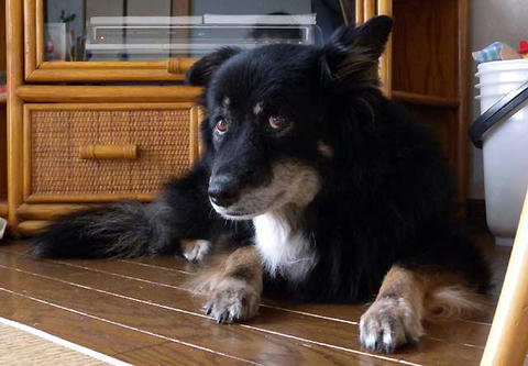 DSCN5890.jpg