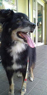 1051803_1213656247_205large.jpg