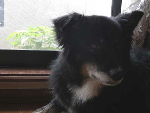 DSCN5933.jpg