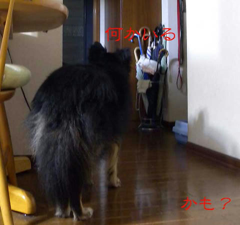 DSCN5999.jpg