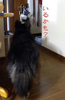 DSCN6001.jpg