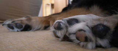 DSCN5996.jpg