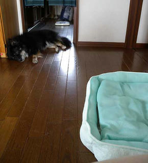 DSCN6021.jpg