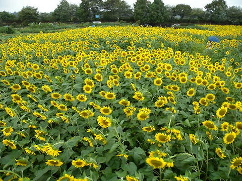 DSCN6037.jpg