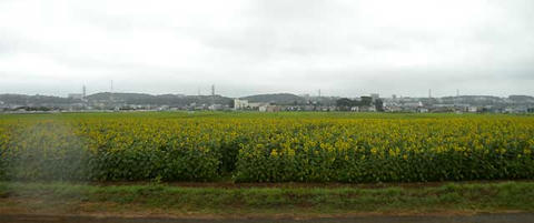 DSCN6038.jpg