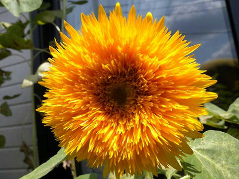 DSCN6044.jpg