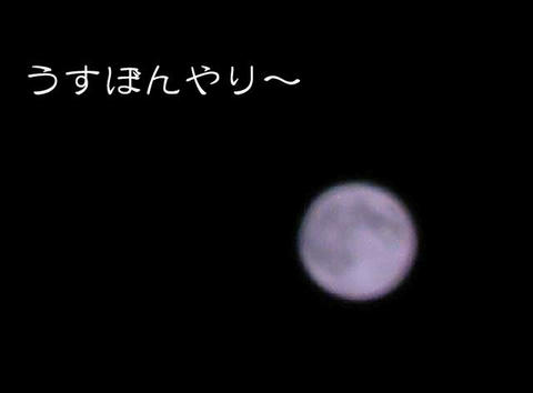 DSCN6070.jpg