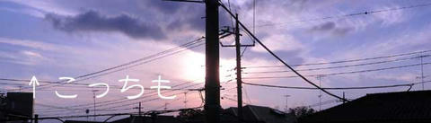 DSCN6100.jpg