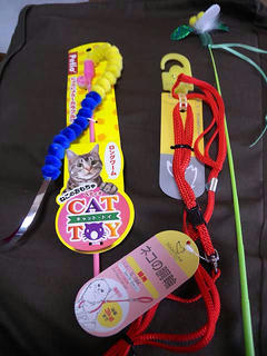DSCN6108.jpg
