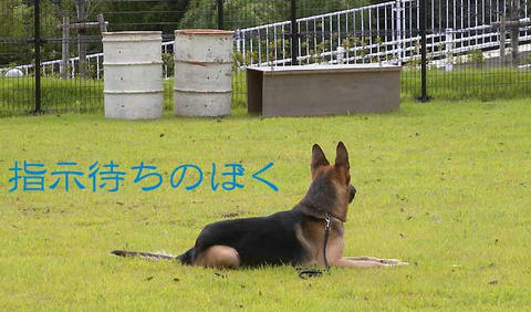 DSCN6178.jpg