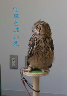 DSCN6182.jpg