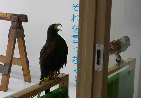 DSCN6185.jpg