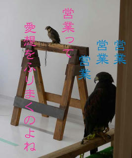 DSCN6187.jpg