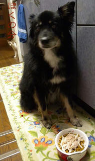 DSCN6189.jpg