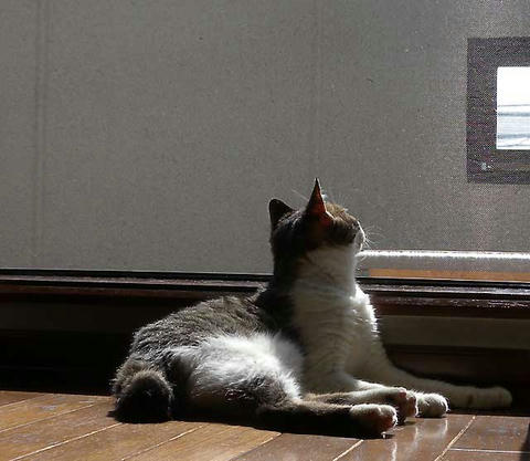 DSCN6199.jpg