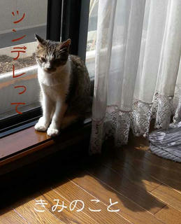 DSCN6213.jpg