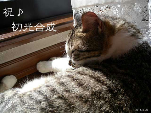DSCN6219.jpg